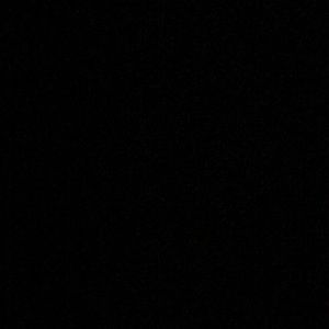 Meet your Posher, Jackson